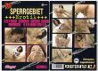 Sperrgebiet Erotik No.40 - SG-Video