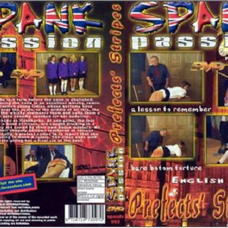 Spank Passion - Perfect Stripes