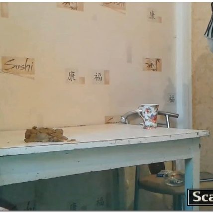 Celestial - Kitchen And Bathroom Scat Destruction. Camera 2 - Part 01 - Matilda